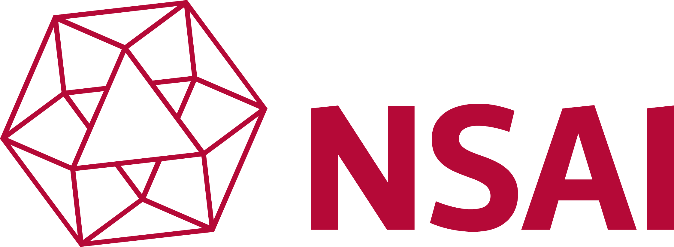 NSAI logo