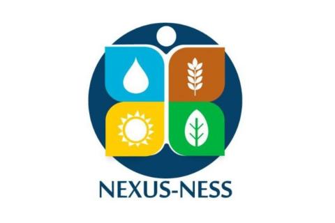 NEXUS-NESS logo